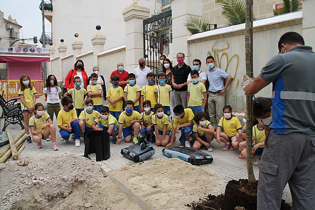 Conectando a los niños con los árboles - 1, Foto 1