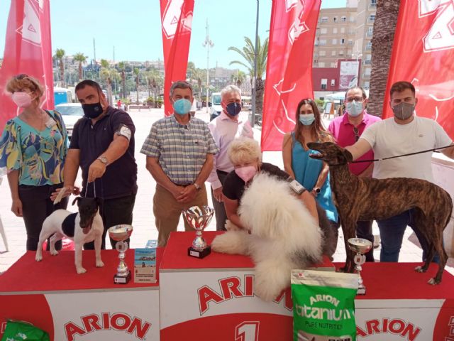 La bobtail Valentina ha sido la campeona absoluta del IX concurso canino de Puerto de Mazarrón - 2, Foto 2