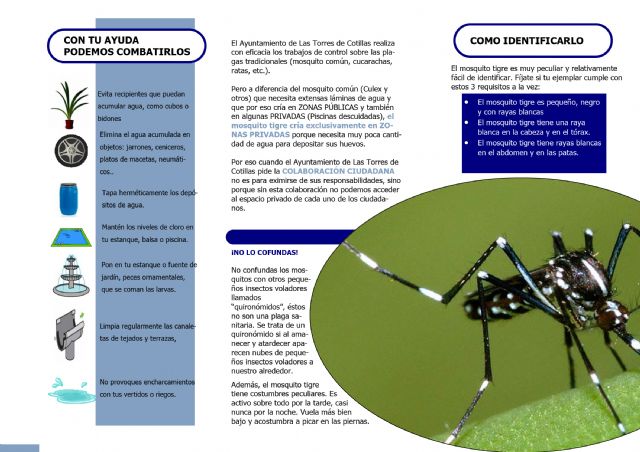 El Ayuntamiento recomienda la prevención en las casas particulares contra la proliferación del mosquito tigre - 2, Foto 2