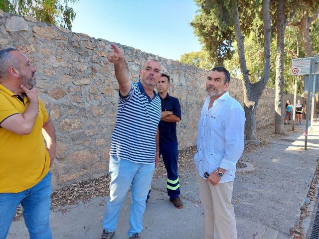 MC: De faro a faro y de mentira a mentira: ´Espacio Algameca´ se estanca - 4, Foto 4