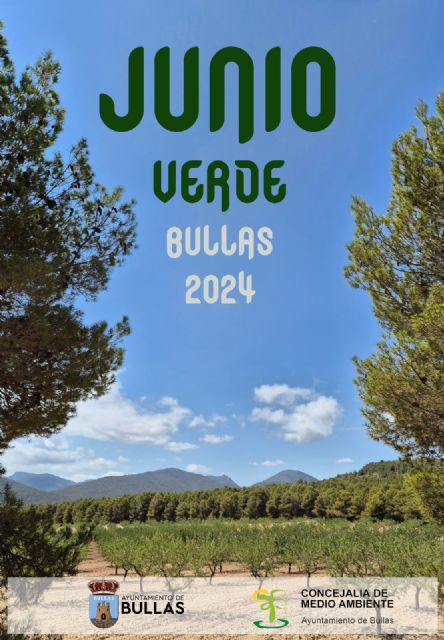 'Junio Verde': una agenda llena de actividades por la conmemoración del Día Mundial del Medio Ambiente - 1, Foto 1