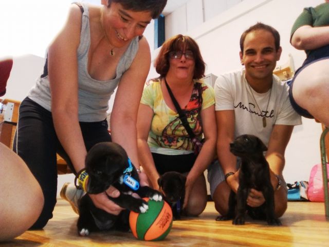 Terapia asistida con animales de compañía, Foto 7