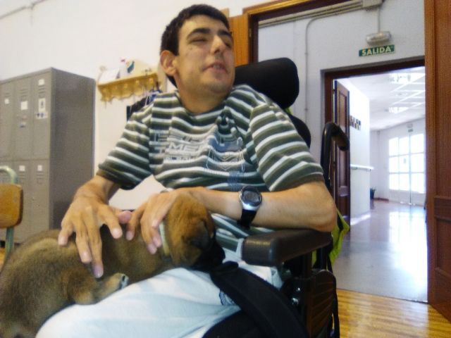 Terapia asistida con animales de compañía, Foto 8