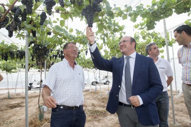 La Región contará con 200 empresas inteligentes esta legislatura con el impulso de la Estrategia Industria 4.0 - 1, Foto 1