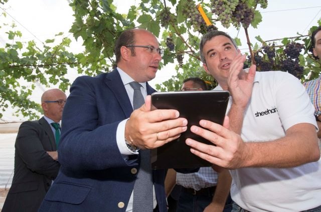 La Región contará con 200 empresas inteligentes esta legislatura con el impulso de la Estrategia Industria 4.0 - 3, Foto 3