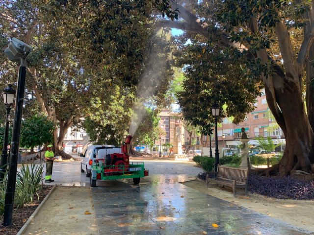 Ducha refrescante de seguridad para más de una decena de ficus de Murcia - 1, Foto 1