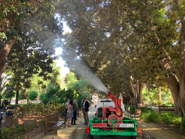 Ducha refrescante de seguridad para más de una decena de ficus de Murcia - 2, Foto 2