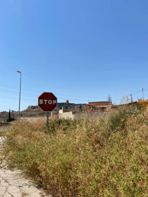 Avalancha de quejas vecinales por la degradación que sufre Lorca - 2, Foto 2