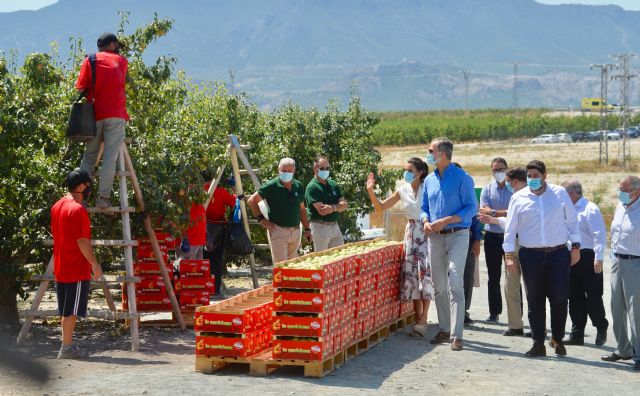 El presidente de la Comunidad acompaña a Sus Majestades los Reyes de España en su visita oficial a la Región de Murcia - 1, Foto 1