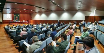 El Consejo de Cofradías de Sevilla aprueba unas cuentas con beneficios gracias al programa cultural - 3, Foto 3