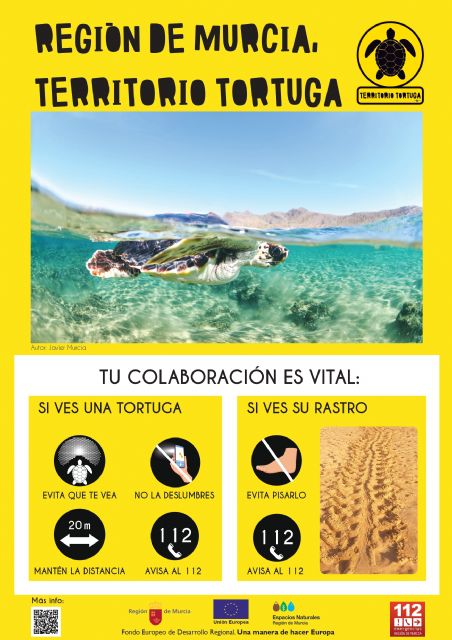 El Ayuntamiento de Lorca colabora en varias campañas de sensibilización sobre la tortuga marina puestas en marcha por distintos organismos coincidiendo con la época de nidificación - 1, Foto 1