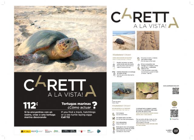 El Ayuntamiento de Lorca colabora en varias campañas de sensibilización sobre la tortuga marina puestas en marcha por distintos organismos coincidiendo con la época de nidificación - 2, Foto 2