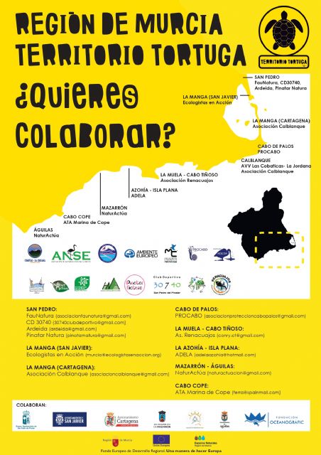 El Ayuntamiento de Lorca colabora en varias campañas de sensibilización sobre la tortuga marina puestas en marcha por distintos organismos coincidiendo con la época de nidificación - 4, Foto 4