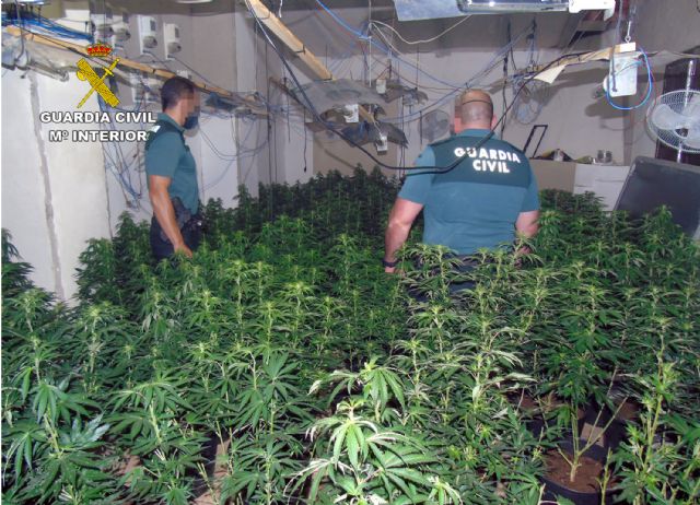 La Guardia Civil desmantela en Bullas dos invernaderos intensivos con más de 200 plantas de marihuana - 1, Foto 1