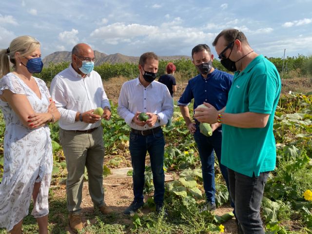 El IMIDA trabaja para conseguir variedades autóctonas - 2, Foto 2
