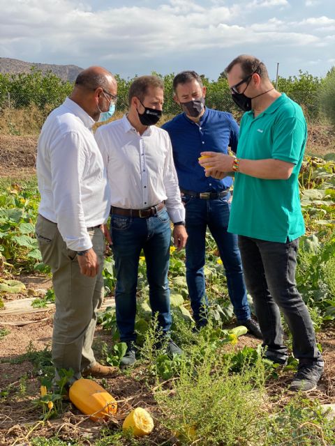 El IMIDA trabaja para conseguir variedades autóctonas - 4, Foto 4