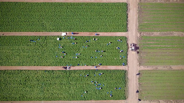 Murcia, región pionera en el mundo en reciclaje de plásticos finos de uso agrario - 1, Foto 1