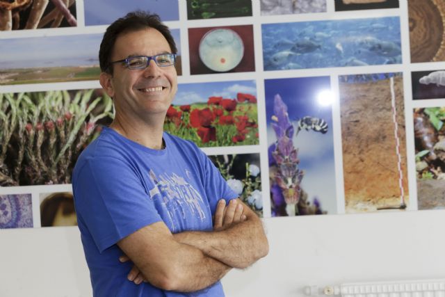 Una investigación de la UMU concluye que el polen genera una mayor agresividad del melanoma en peces cebra - 1, Foto 1