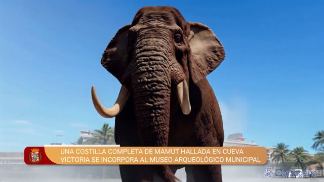 MC: Otro episodio de la incompetencia de Arroyo: nos quiere dar mamut por ballena - 1, Foto 1