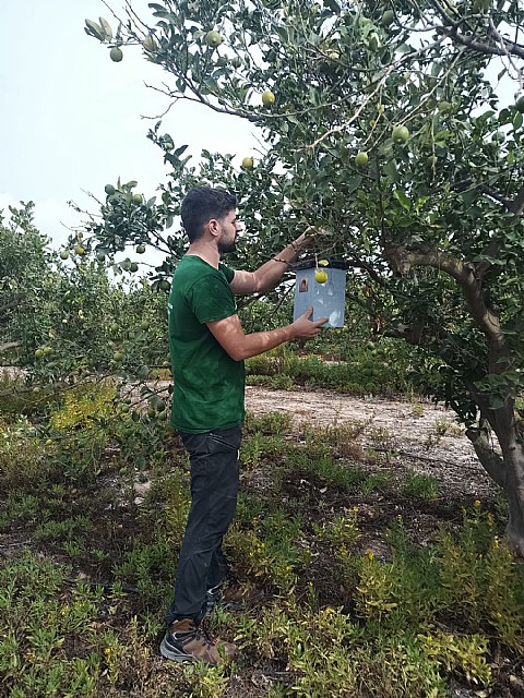 Control de plagas agrícolas con la instalación de refugios para fauna - 2, Foto 2