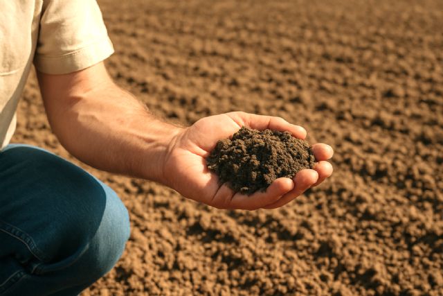 Día Mundial de la Conservación del Suelo - 1, Foto 1