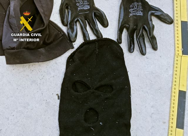 La Guardia Civil detiene in fraganti a los integrantes de un grupo delictivo que cometía delitos contra el patrimonio - 3, Foto 3
