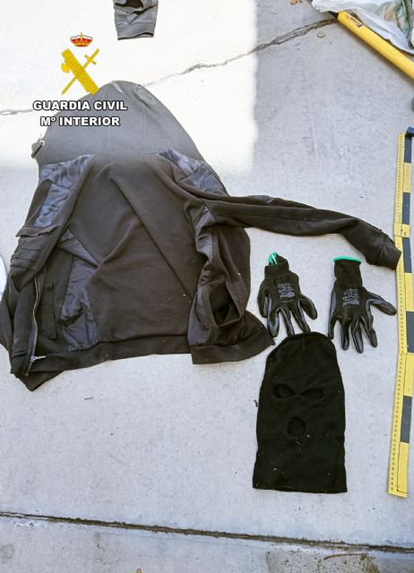 La Guardia Civil detiene in fraganti a los integrantes de un grupo delictivo que cometía delitos contra el patrimonio - 4, Foto 4