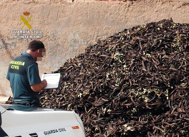 La Guardia Civil detiene in fraganti a una persona por sustraer gran cantidad de garrofa - 2, Foto 2