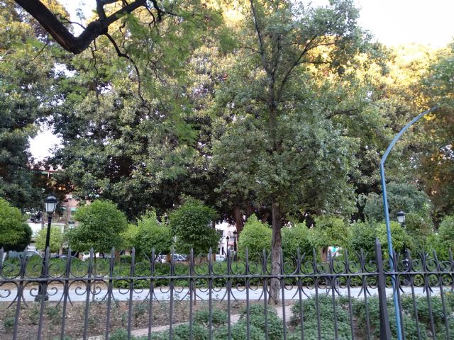 El PSOE lamenta que el Ayuntamiento sea incapaz de tener abierto el Jardín de Floridablanca por falta de previsión - 1, Foto 1