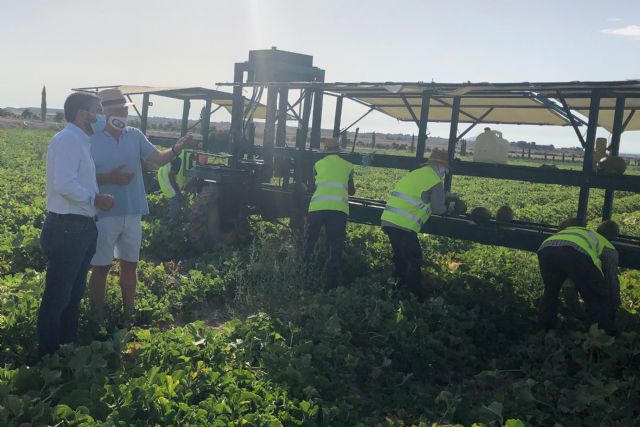Antonio Luengo confía en que la campaña de melón en la Región de Murcia supere las 220.000 toneladas - 1, Foto 1