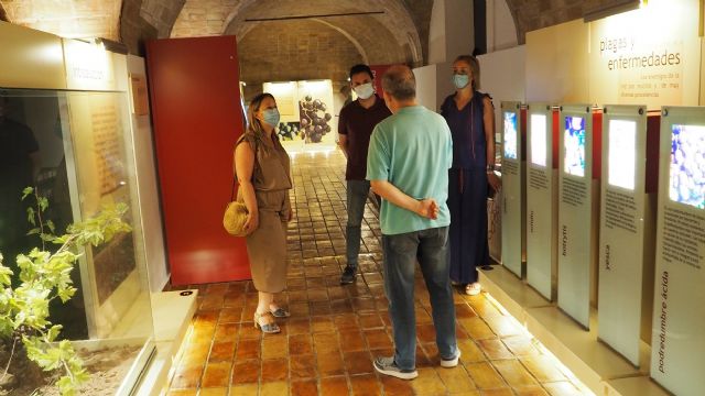 Visita de la Directora General de Competitividad y Calidad Turísticas a Bullas - 3, Foto 3