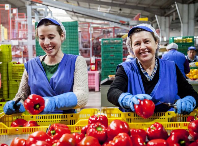 Pimiento y brócoli: dos bombas de vitamina C para consumir este verano - 2, Foto 2