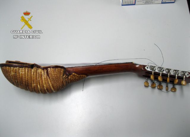 La Guardia Civil recupera un armadillo de Chile expuesto en un restaurante de Águilas - 2, Foto 2