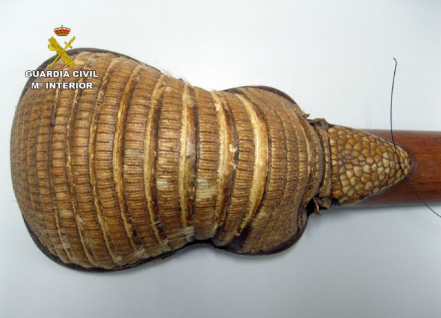 La Guardia Civil recupera un armadillo de Chile expuesto en un restaurante de Águilas - 5, Foto 5