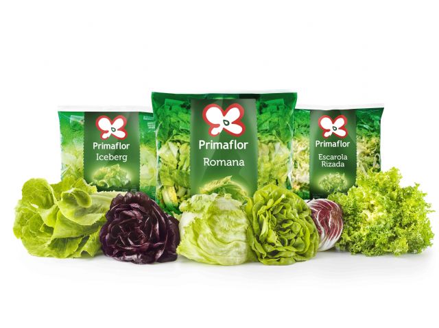 La lechuga es el vegetal más consumido en España. Con más de siete variedades, ¿sabemos cuál es la más adecuada para cada momento? - 1, Foto 1