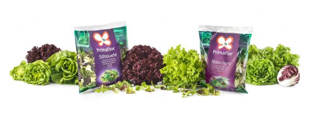 La lechuga es el vegetal más consumido en España. Con más de siete variedades, ¿sabemos cuál es la más adecuada para cada momento? - 2, Foto 2