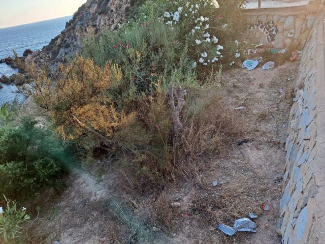 El PSOE de Cartagena denuncia la suciedad, plásticos y basuras en Cala Cortina - 1, Foto 1