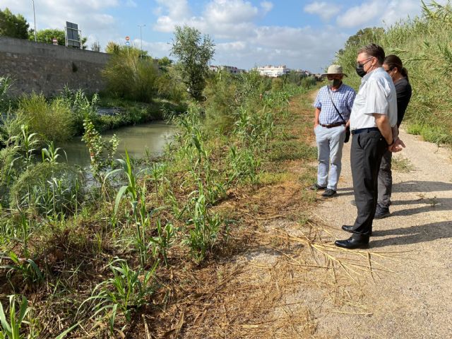 El Ayuntamiento y ANSE recuperan el bosque de ribera en el río Segura a su paso por El Raal - 2, Foto 2