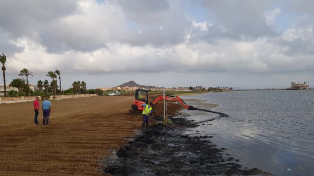 Cerca de una treintena de operarios trabajan en la retirada de biomasa en las playas del sur del Mar Menor - 1, Foto 1