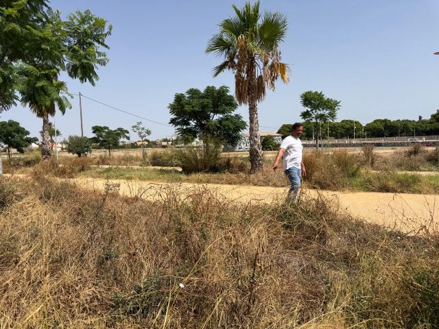 MC: Maleza, plagas y abandono: la lamentable situación de los jardines de la Avenida del Cantón - 1, Foto 1