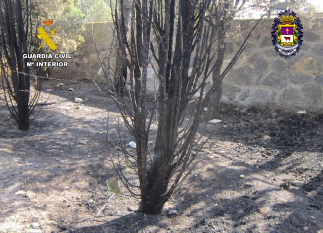 Detenido un vecino de Caravaca de la Cruz por cerca de media docena de incendios - 2, Foto 2