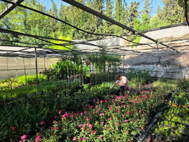 Los Viveros Municipales de La Torrecilla producen cada año más de 20.000 plantas para embellecer Lorca y sus pedanías - 2, Foto 2