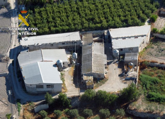 La Guardia Civil descubre una granja de ganado porcino con graves deficiencias - 3, Foto 3