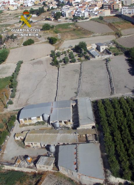 La Guardia Civil descubre una granja de ganado porcino con graves deficiencias - 4, Foto 4