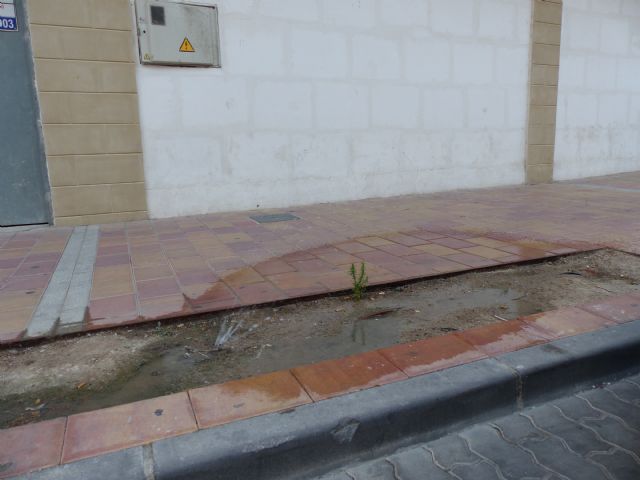 IU apela a la colaboración ciudadana en cuestiones de limpieza dada la dejadez del equipo de gobierno - 1, Foto 1