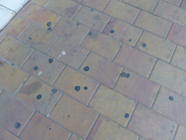 IU apela a la colaboración ciudadana en cuestiones de limpieza dada la dejadez del equipo de gobierno - 3, Foto 3