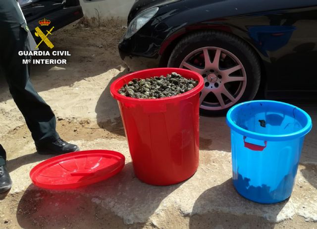 La Guardia Civil sorprende a cinco personas capturando gran cantidad de caracolas de mar sin autorización en Playa Honda - 1, Foto 1