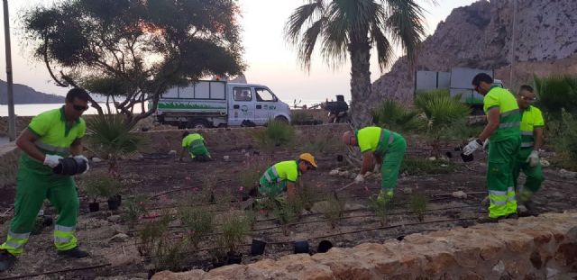 El Ayuntamiento transforma la imagen del mirador de Cocedores con más de 600 plantas - 1, Foto 1