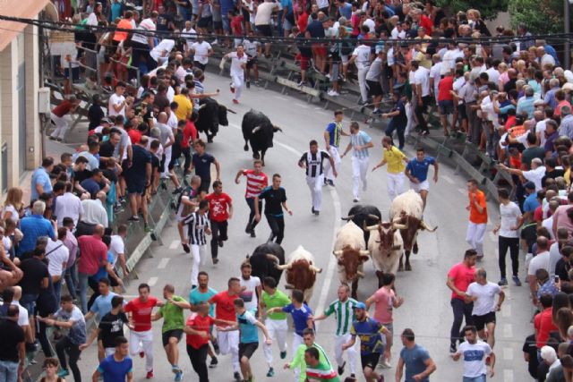 Quinto encierro de Calasparra con impresionantes carreras y sin heridos - 1, Foto 1