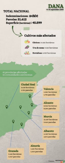 Primer aniversario de la DANA: el mayor siniestro de gota fría en la historia del seguro agrario español - 2, Foto 2